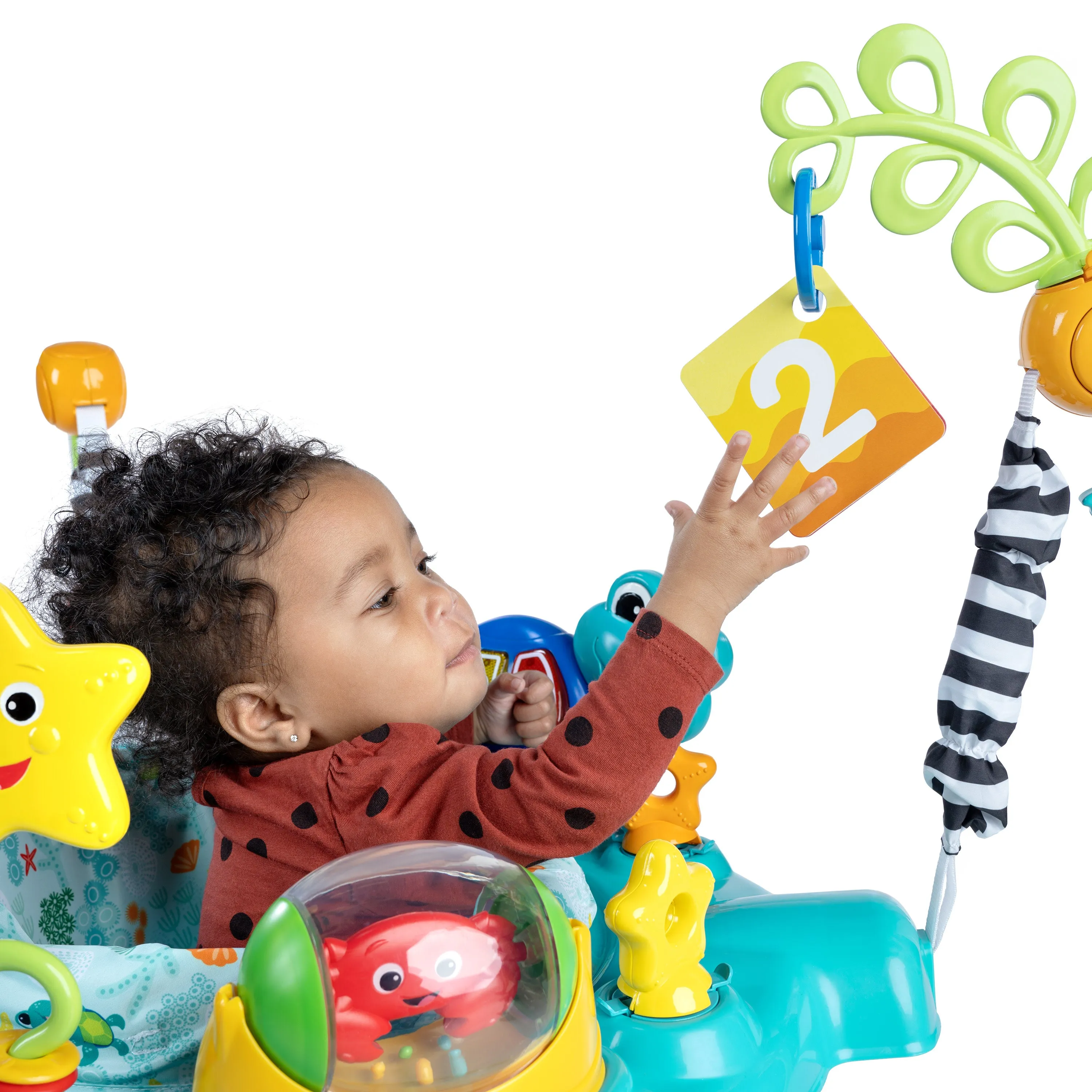 Baby Einstein Ocean Explorers Curiosity Cove 2-in-1 Activity Jumper, Ages 6  Months