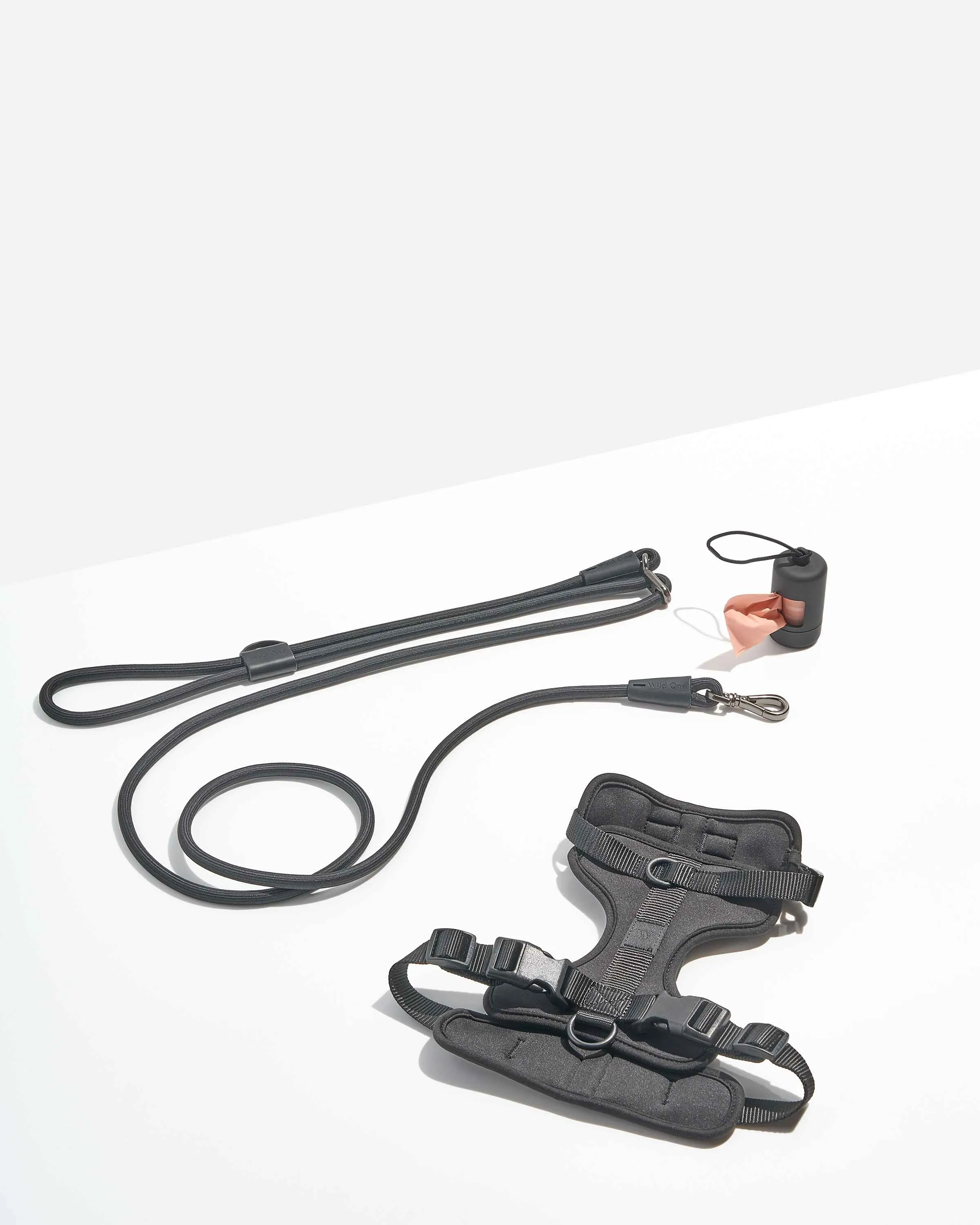 Hands-Free Harness Walk Kit