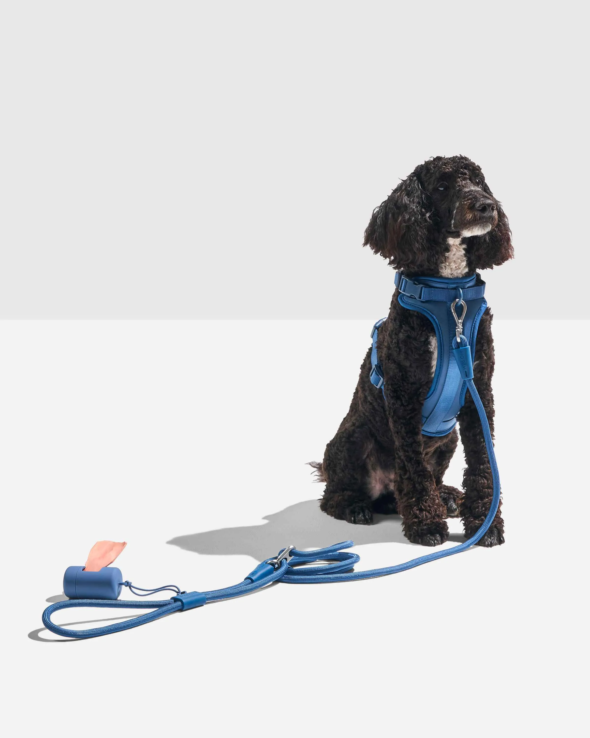 Hands-Free Harness Walk Kit