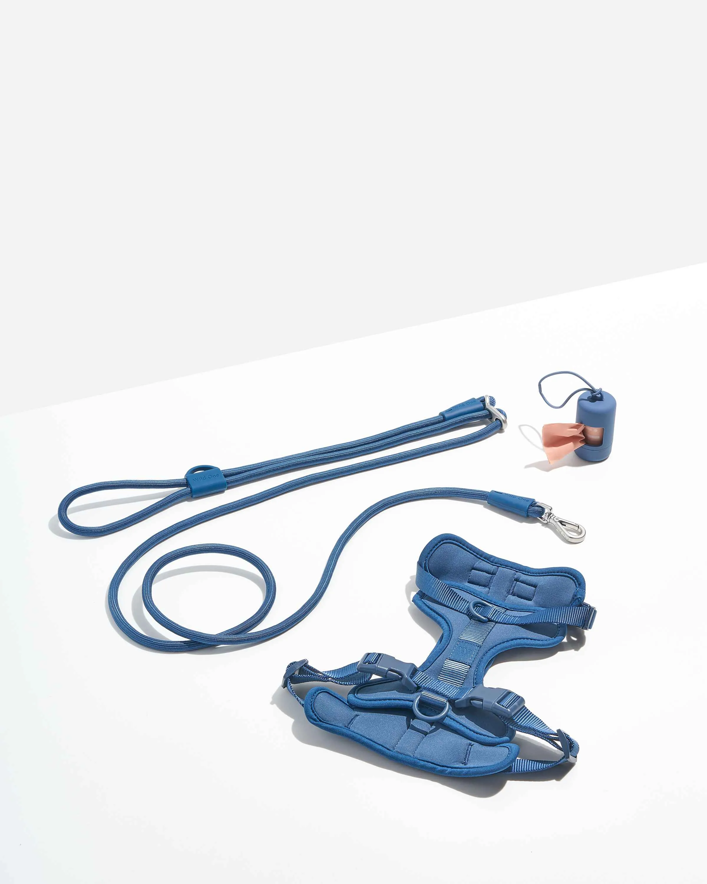 Hands-Free Harness Walk Kit