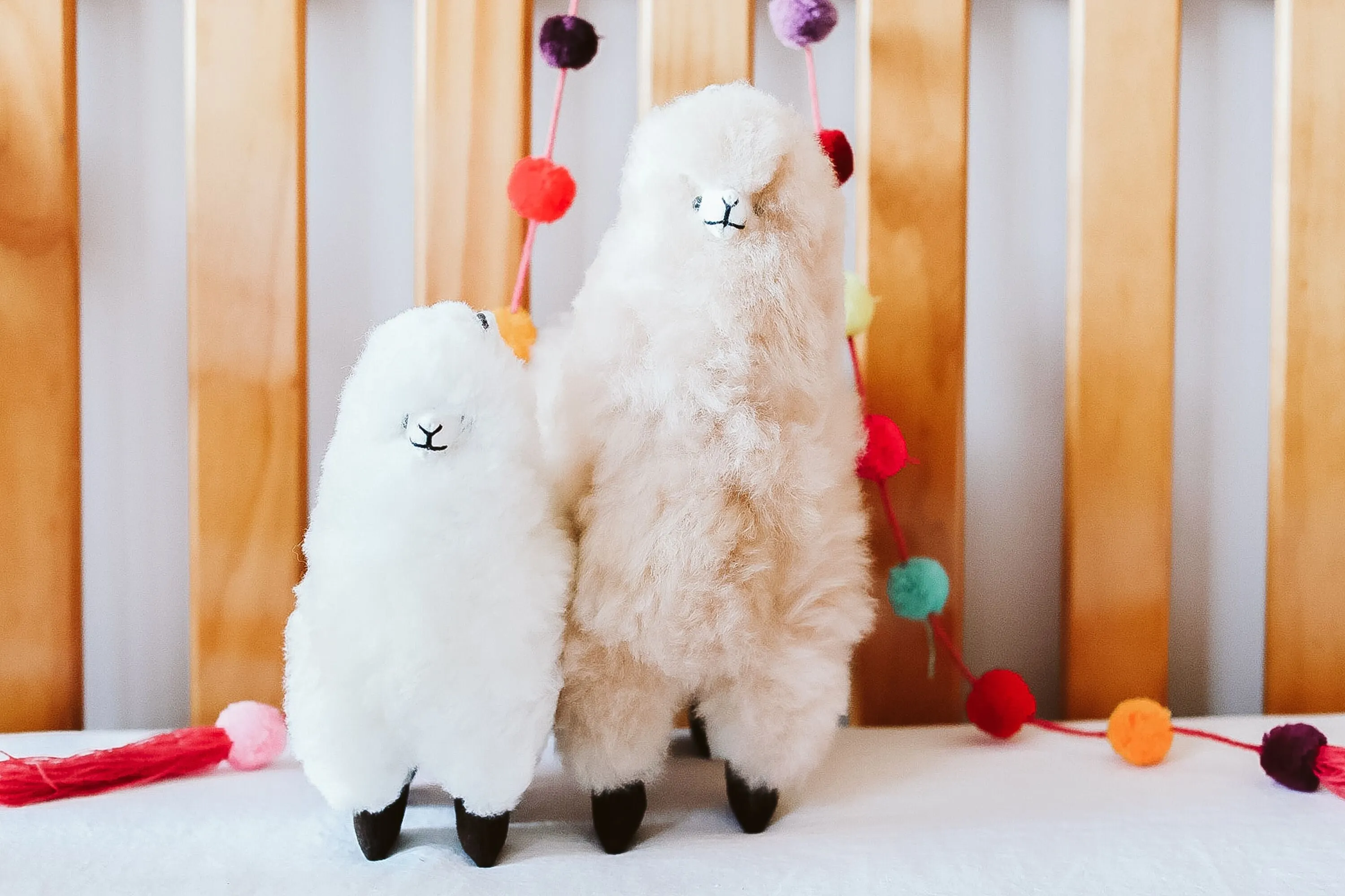 Pokoloko Alpacas